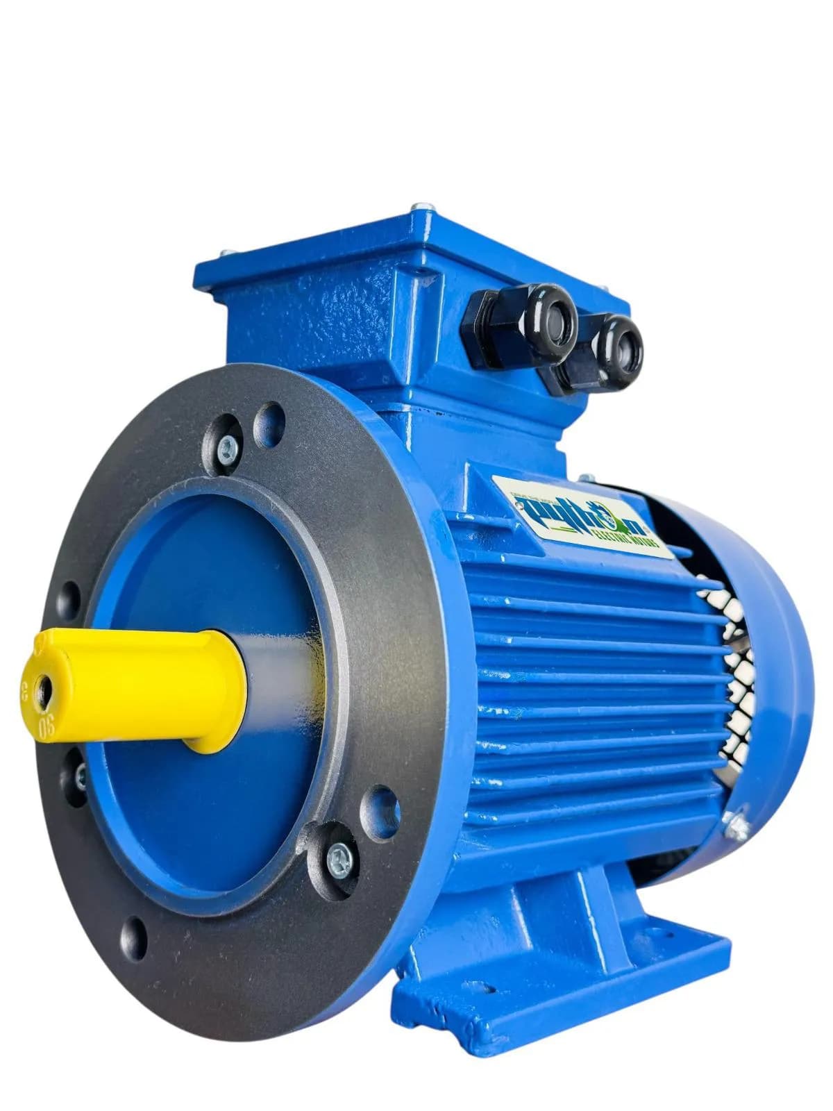 Cast Iron Electric Motor